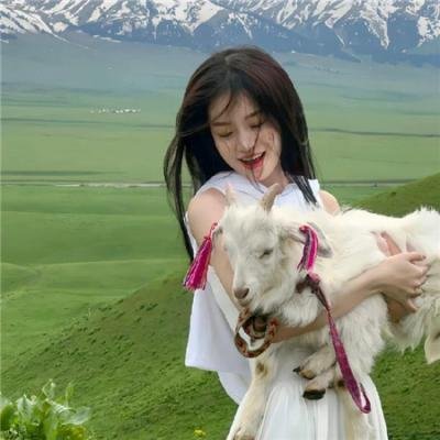 最强橄榄球:死或赢